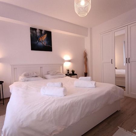 Cozy Apartment City Center Bukarest Exterior foto